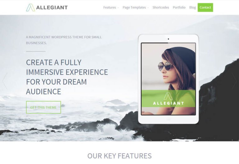 8 templates-wordpress-1-1-768x528