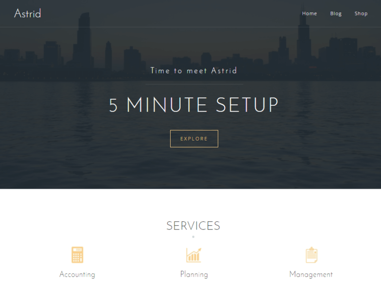 9 templates-wordpress-5-768x576