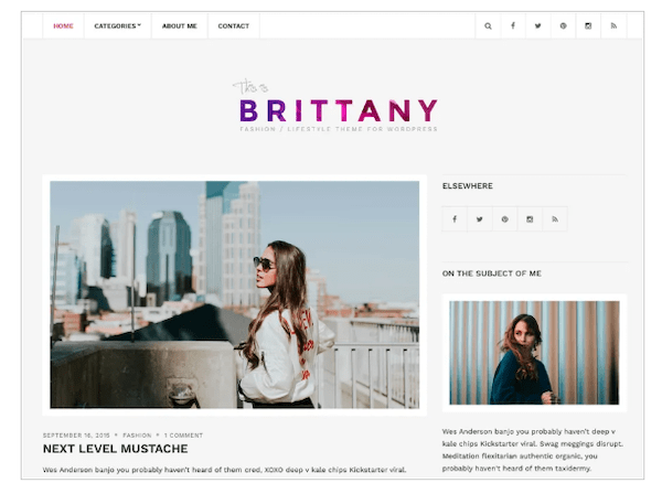 A look at the Brittany Light WordPress theme