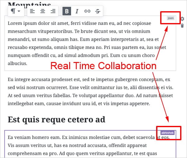 Real Time Collaboration Using Gutenberg.