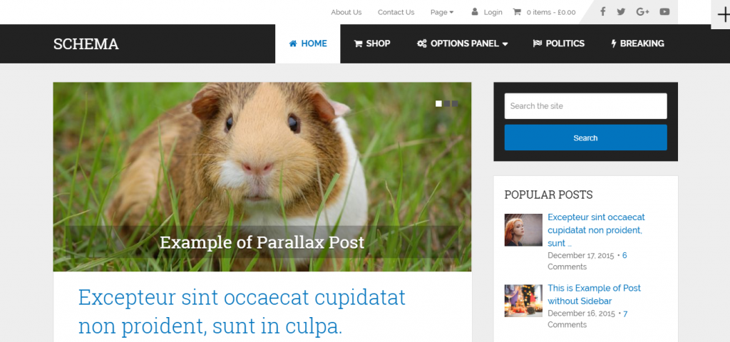 Schema é tema de destaque para wordpress mais rápido