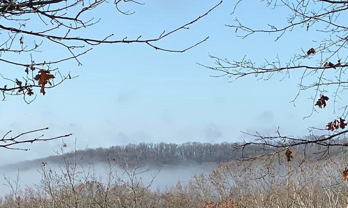 Uma Coisa Que Todo Profissional de Marketing Deveria Fazer