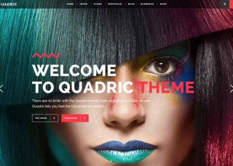 quadric-wordpress-responsive-theme-front-700x500