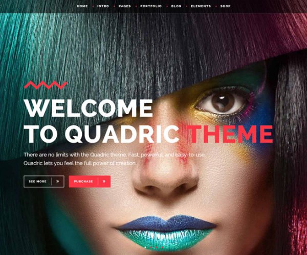quadric-wordpress-responsive-theme-front-700x500