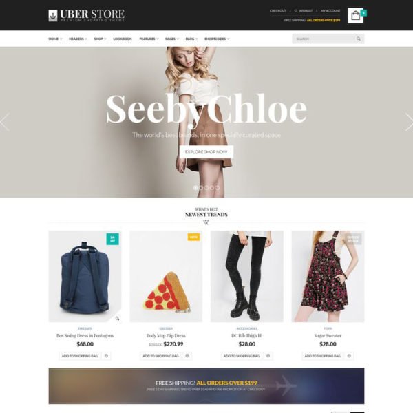 customizable-wordpress-themes1