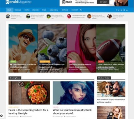 herald-wordpress-theme-feature-759x675