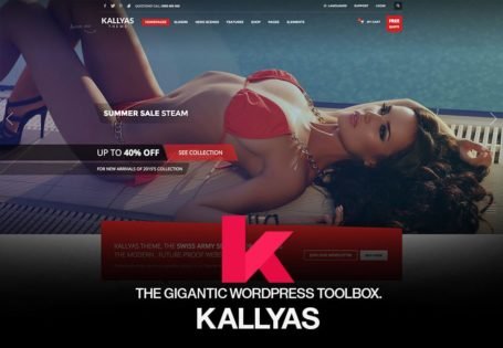 kallyas-responsive-multi-purpose-wordpress-theme